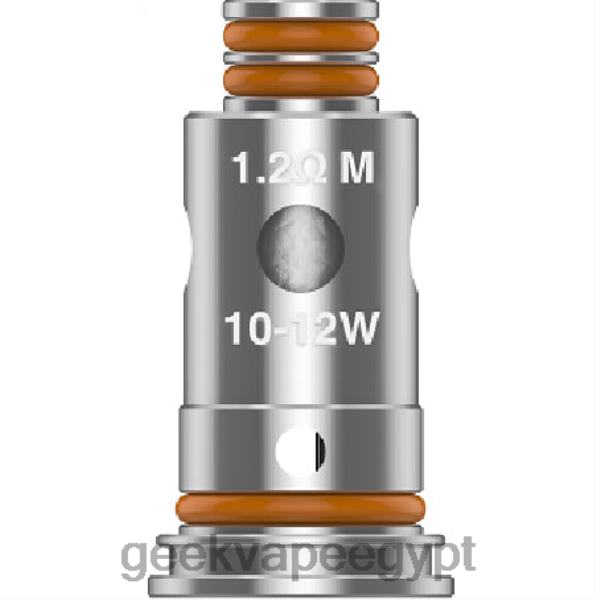 GeekVape For Sale - GeekVape 5 قطعة/الحزمة لفائف سلسلة G g1.2 أوم م ND00828