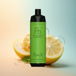 RandM Fumot Shisha 10000 Puffs شيشا ليمون نعناع مع 0.5% نيكوتين و 850 مللي أمبير