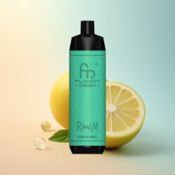 RandM Fumot Shisha 10000 Puffs ليمون نعناع مع 0.5% نيكوتين و 850 مللي أمبير ساعة